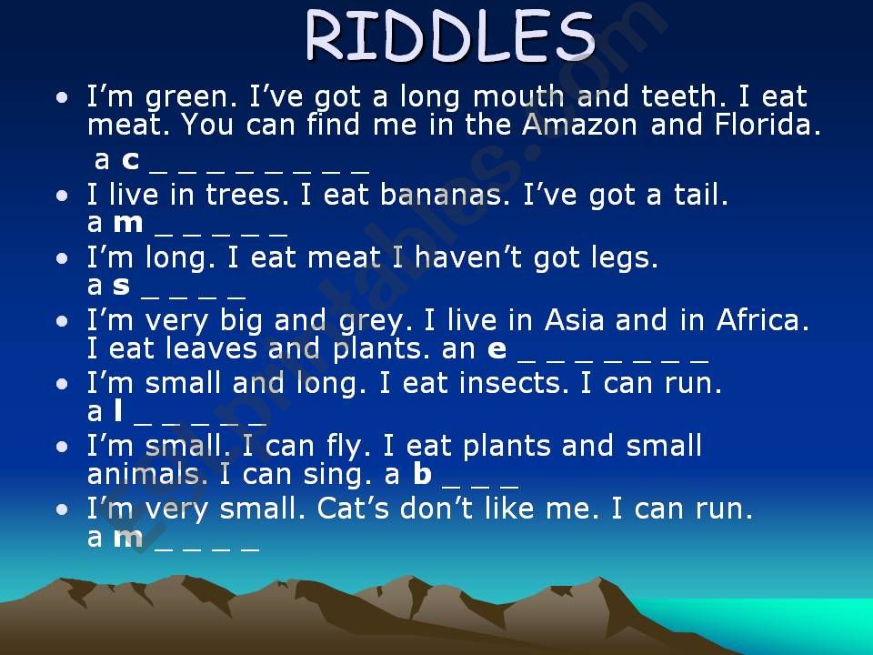 Animals riddles powerpoint