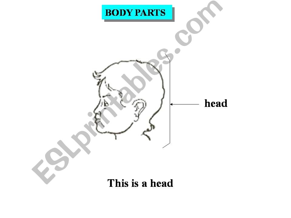 Body Parts powerpoint