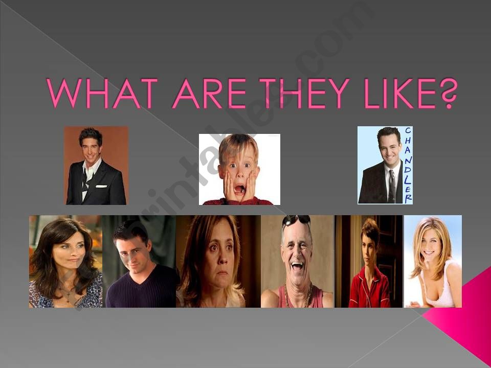 What are they like? powerpoint