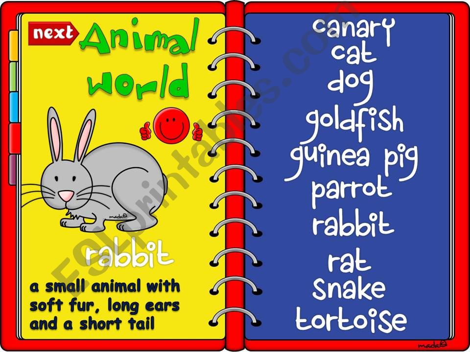 Animal world - pets *GAME*  (1)
