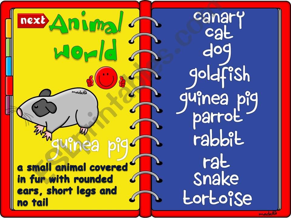 Animal worls - pets *GAME* (2)