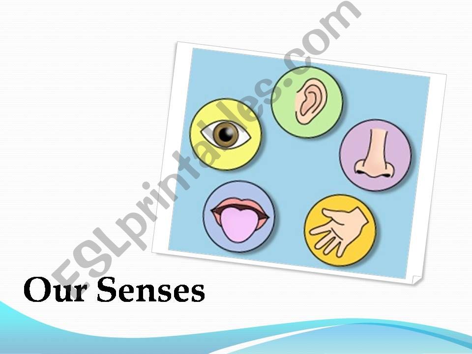 our senses  powerpoint