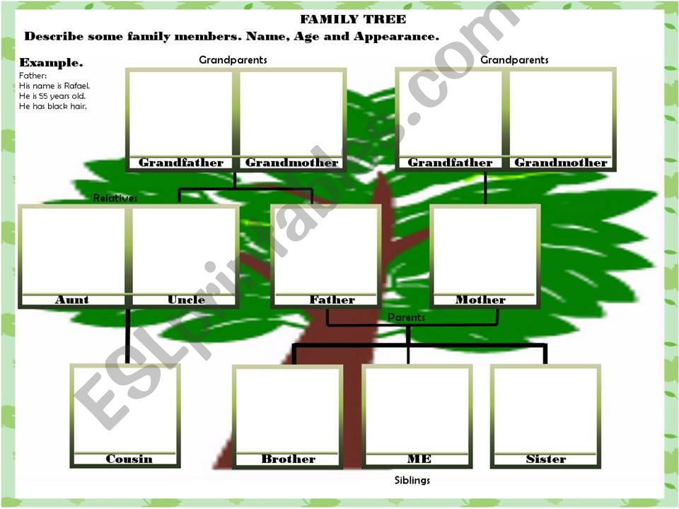 Family Tree  powerpoint
