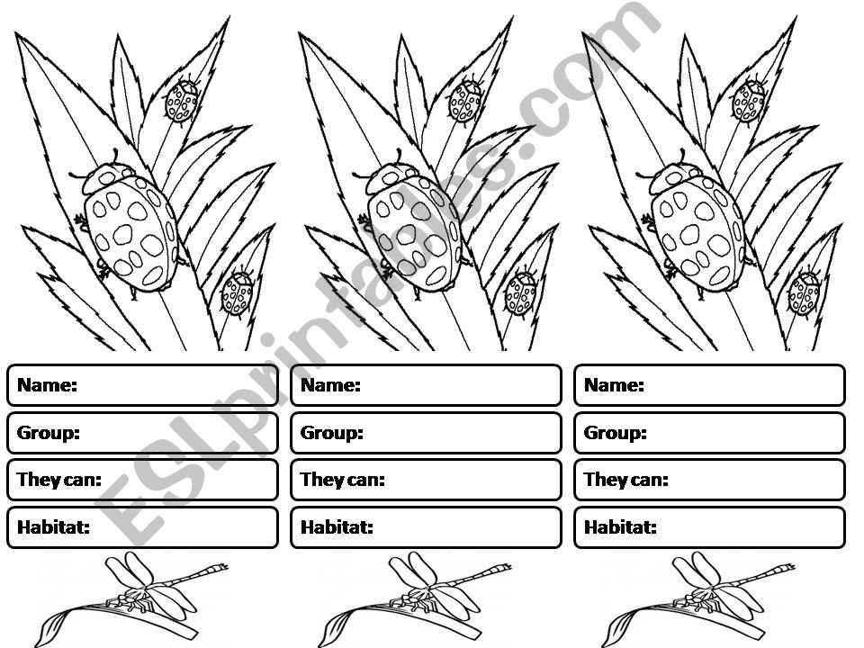 Types of Animals powerpoint