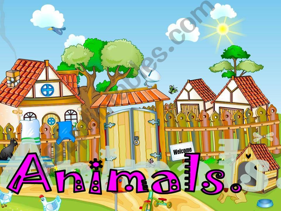 Animals for 3-5 years powerpoint