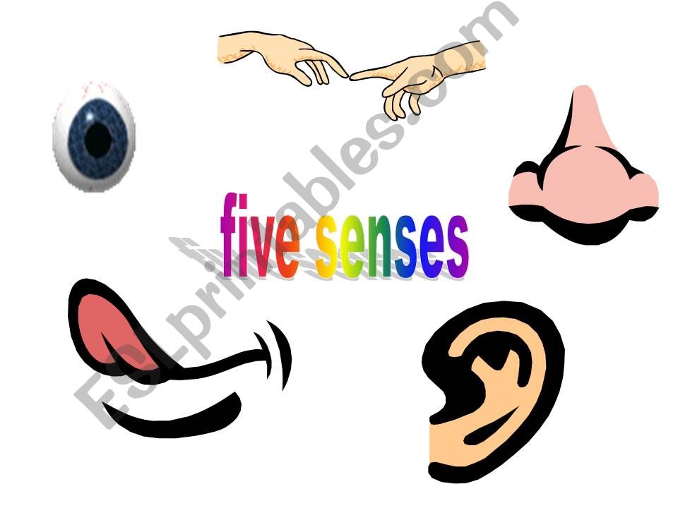 five senses powerpoint