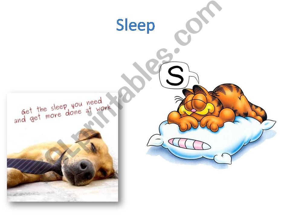 Sleep presentation part 1 powerpoint