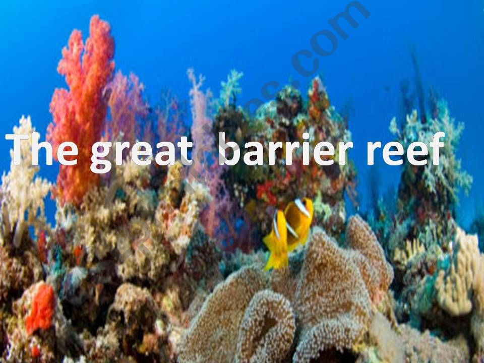 the coral reef powerpoint