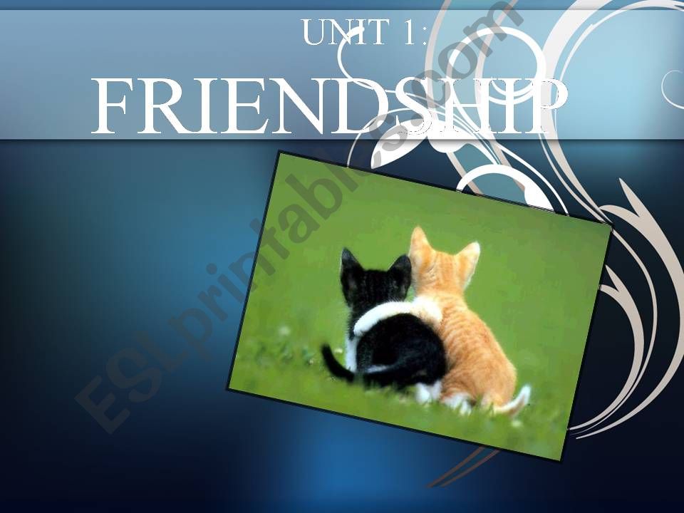 UNIT 1: FRIENDSHIP GAME (Personal and Physical Qualities)