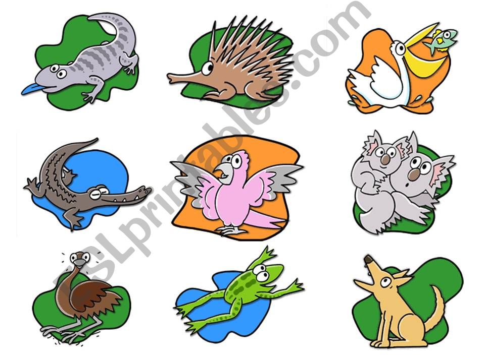accent inaktive Synes ESL - English PowerPoints: Australian Animal Picture Bingo Boards