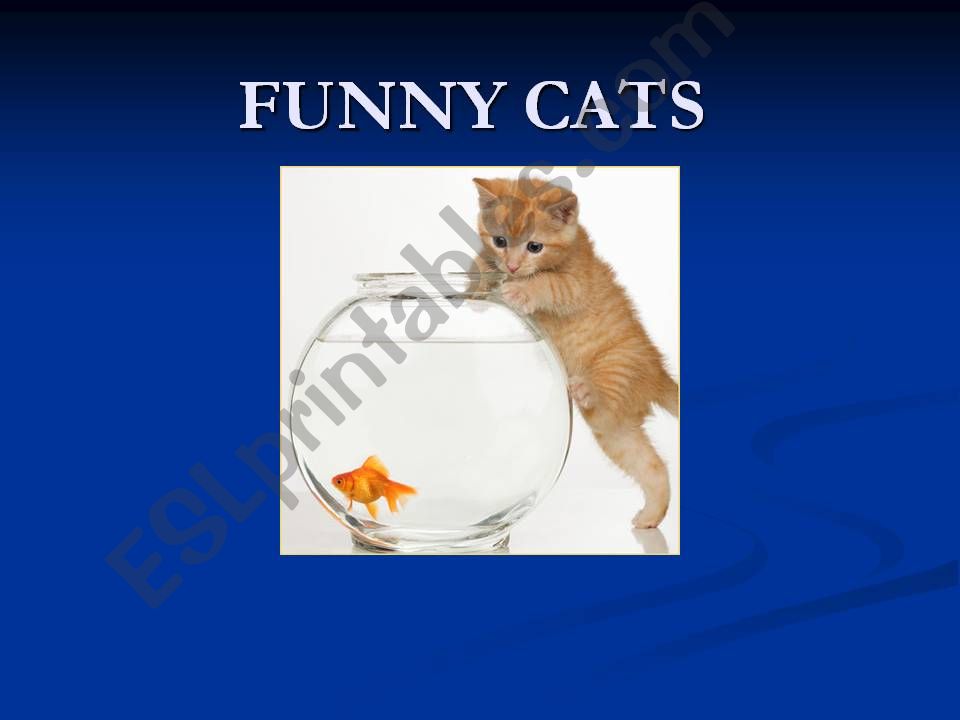 Prepositions with cats powerpoint