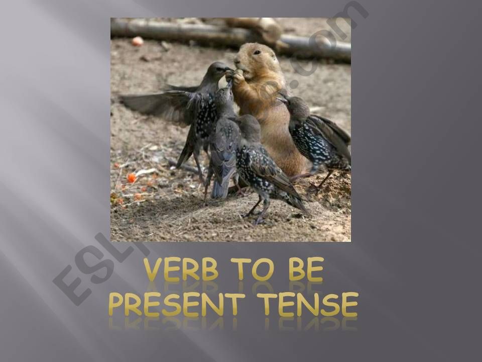 Verb To Be for ESL Beginners powerpoint