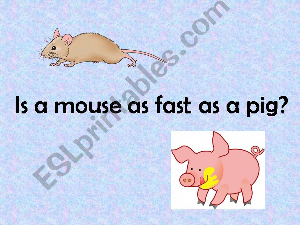 Comparatives Using Animals powerpoint