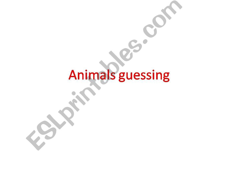 animal guessing game powerpoint