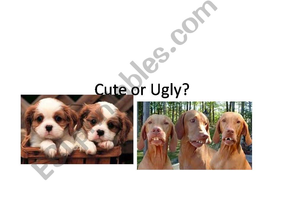 Cute or Ugly? using TO BE powerpoint