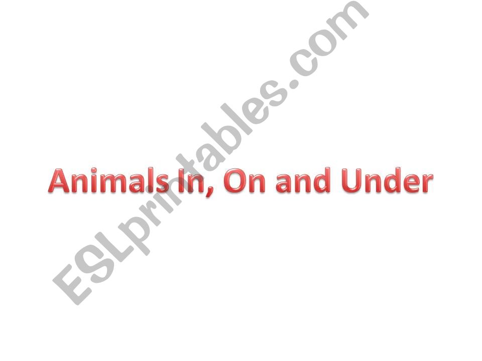 Prepositions with animals powerpoint