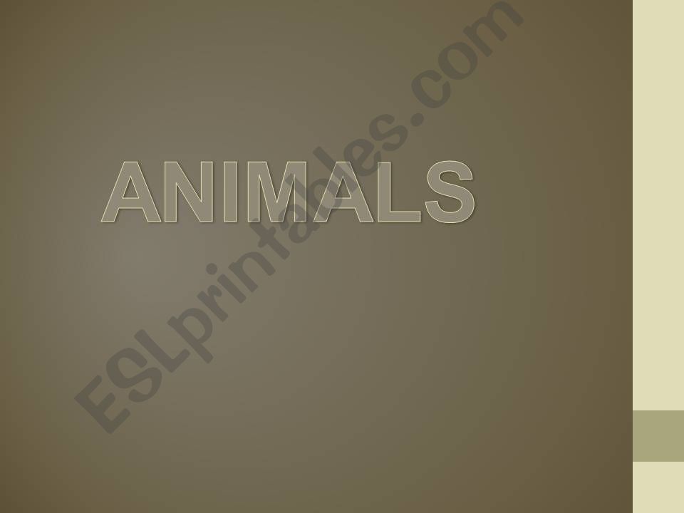 ANIMALS powerpoint