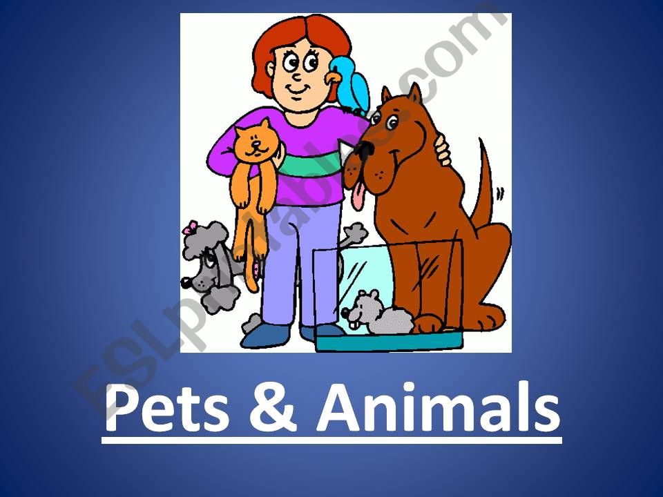 Pets and Animals powerpoint