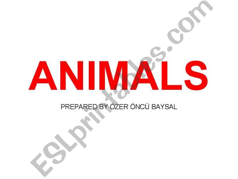 Animals powerpoint