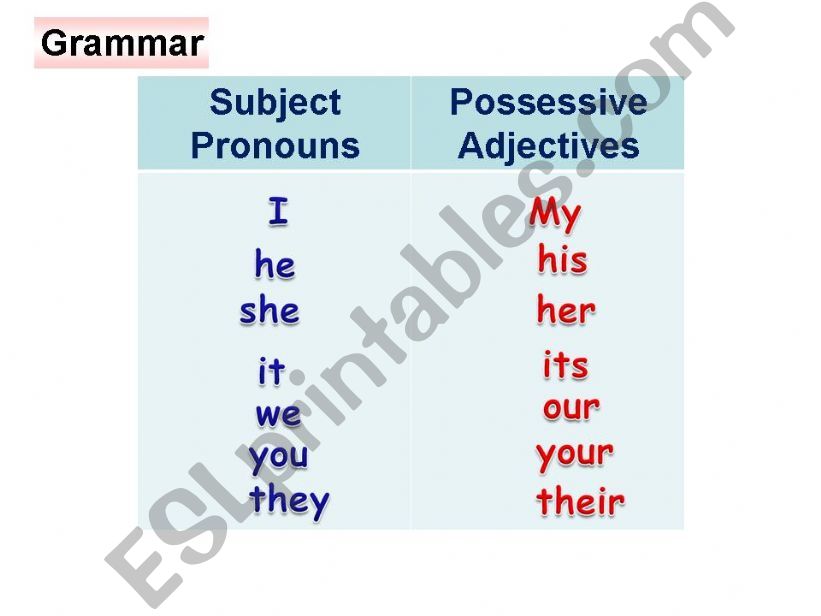  possessive adjectives powerpoint