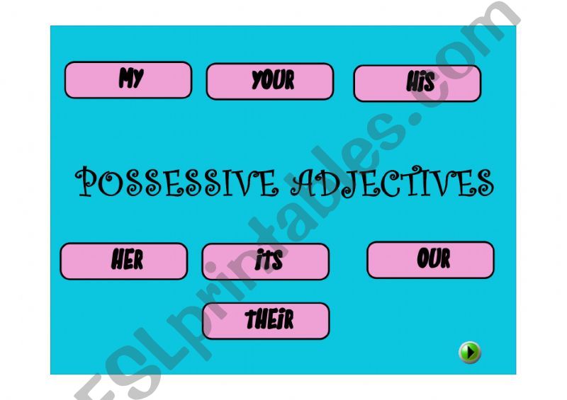 Possessive adjectives powerpoint