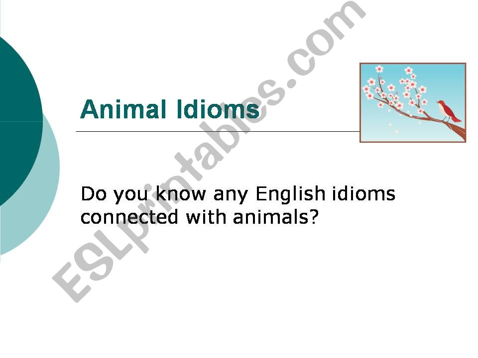 Animal Idioms powerpoint