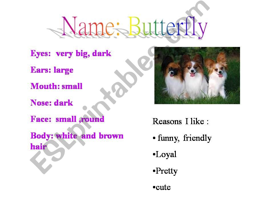 describing my pet  powerpoint