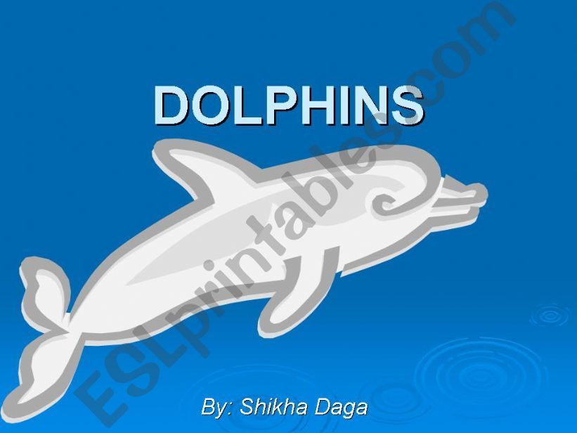 Dolphins powerpoint