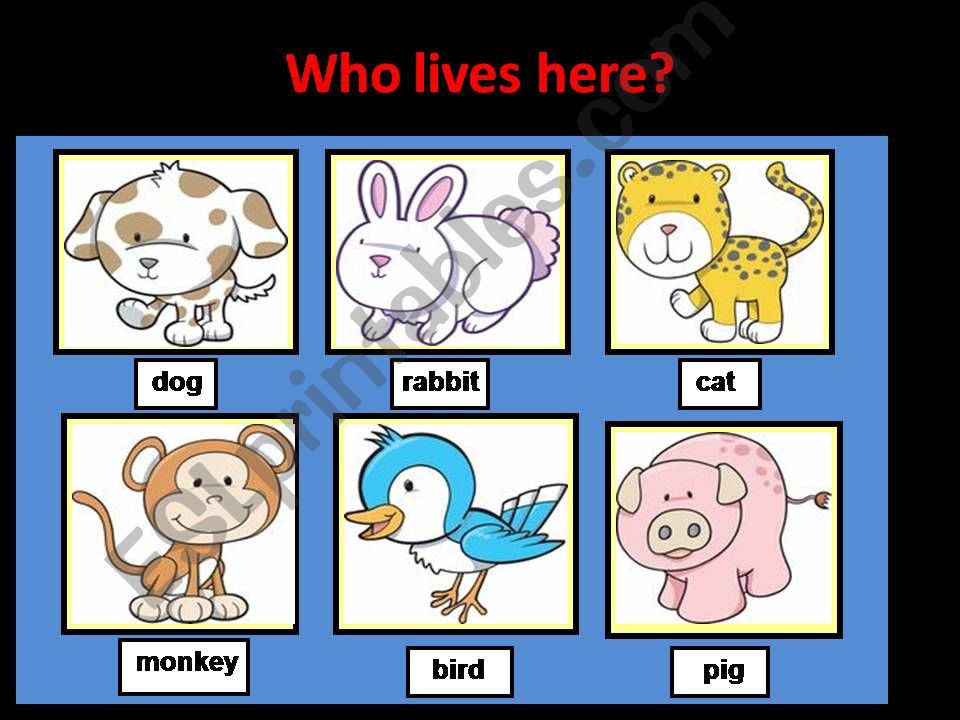 Who lives here? powerpoint