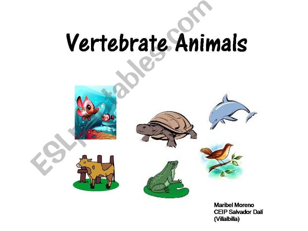 Vertebrate Animals powerpoint