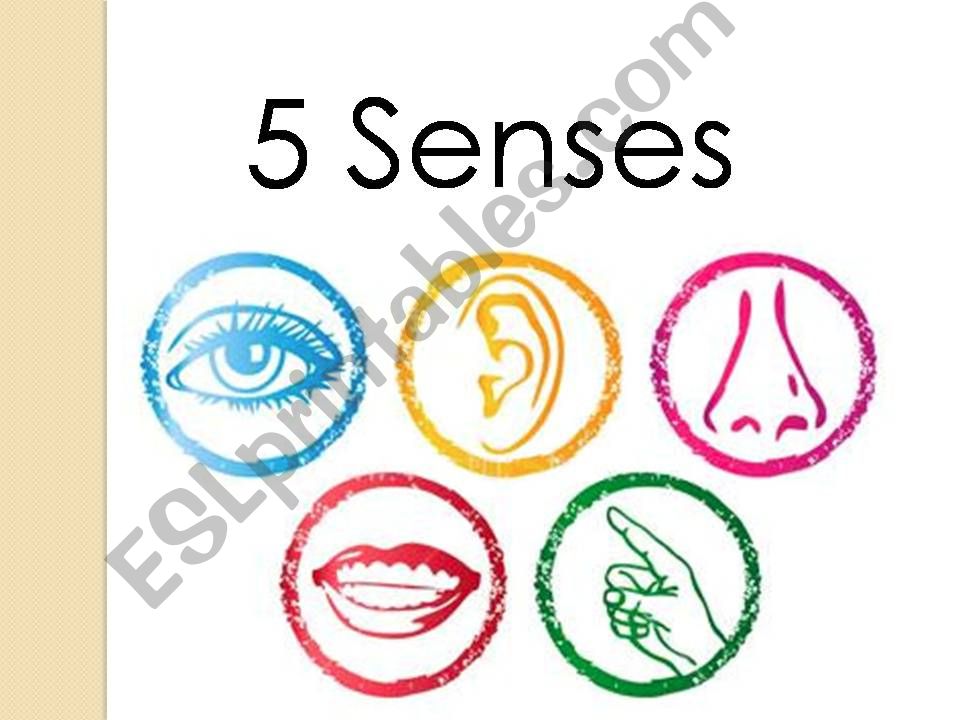 5 senses powerpoint