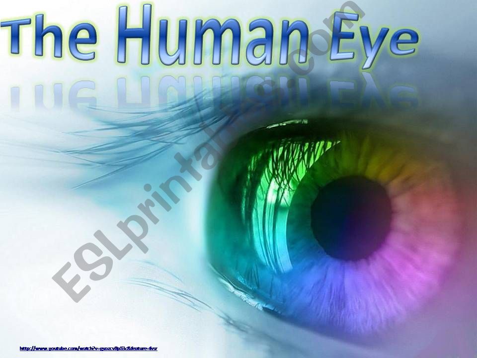 The Eye powerpoint