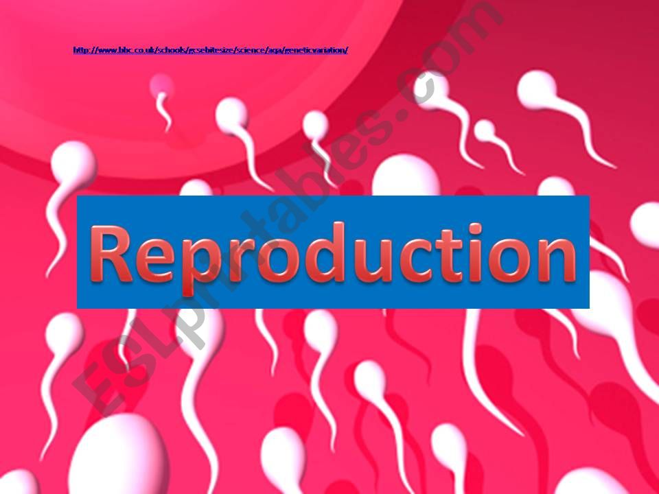 Reproduction powerpoint