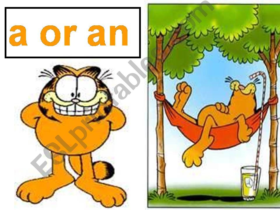 A or an with garfield powerpoint