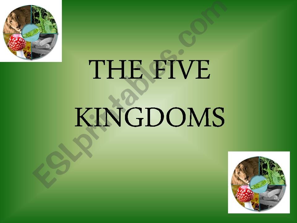 THE FIVE KINGDOMS powerpoint