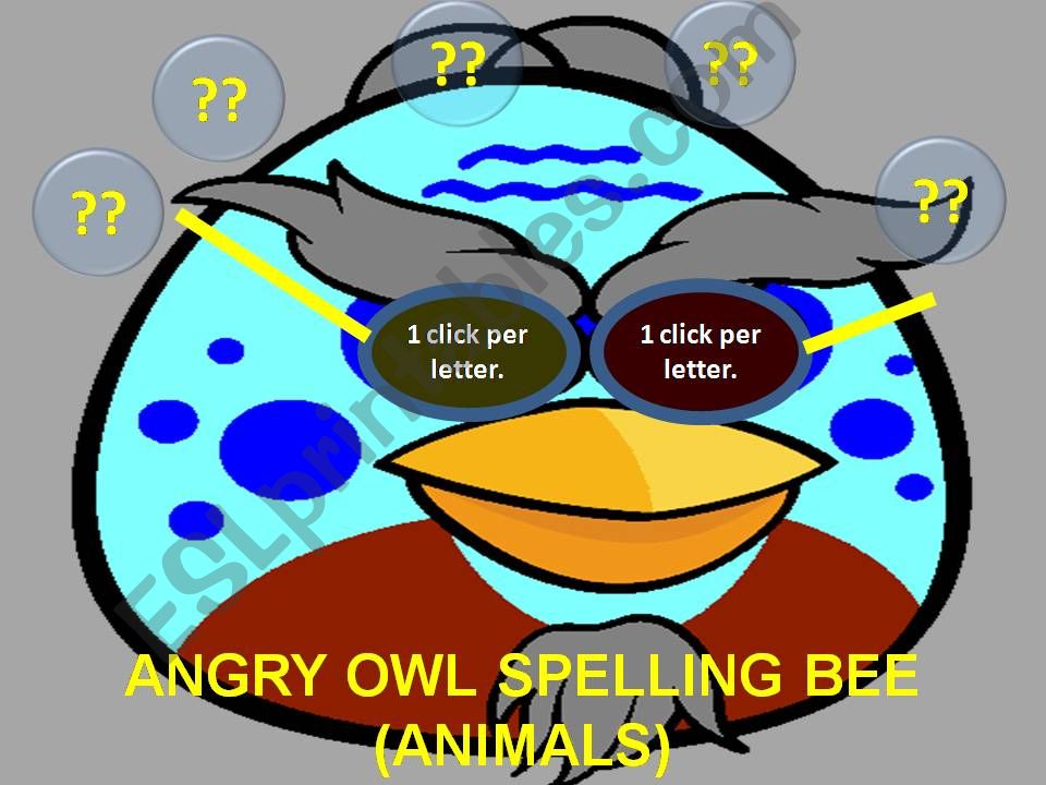 Angry Bird Spelling Bee Whats Behind The Sunglasses