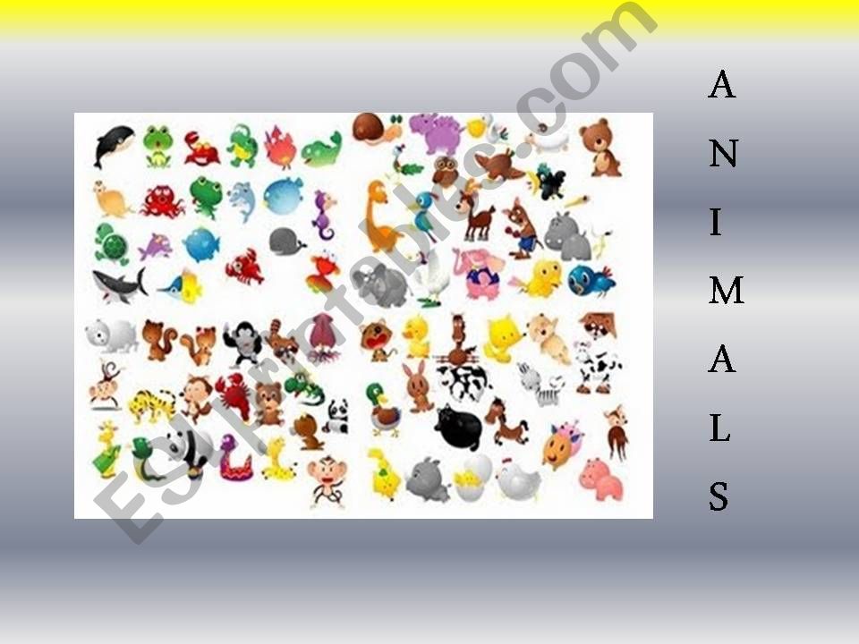 TYPES OF ANIMALS  powerpoint