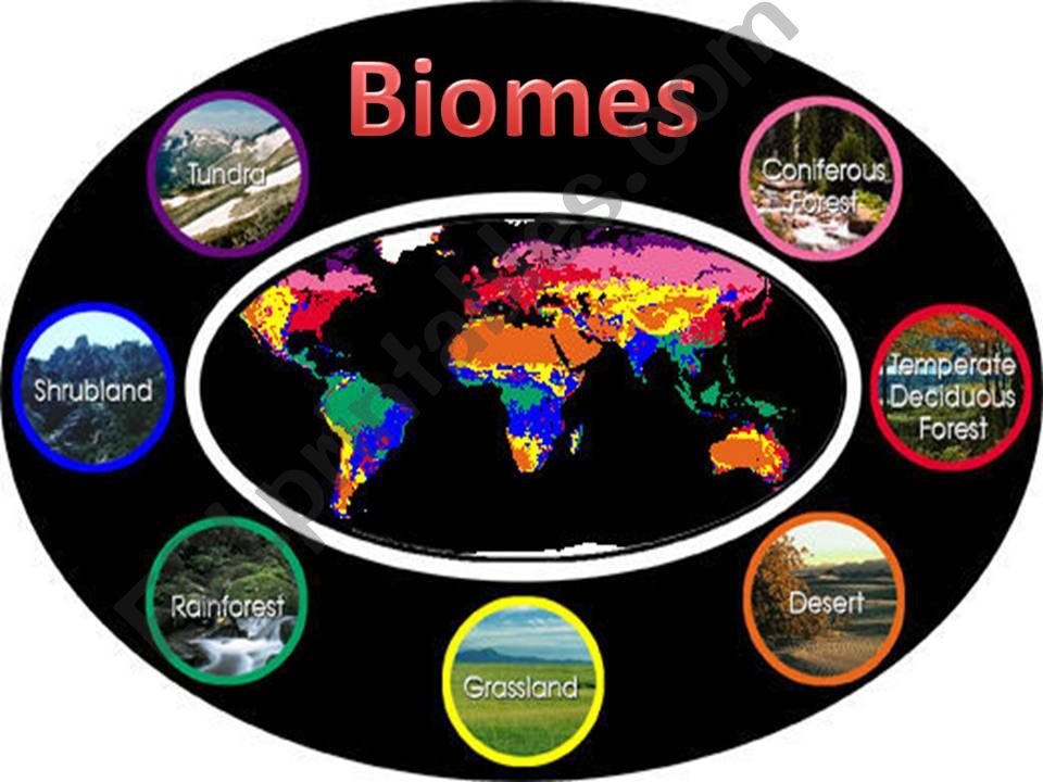 Biomes powerpoint