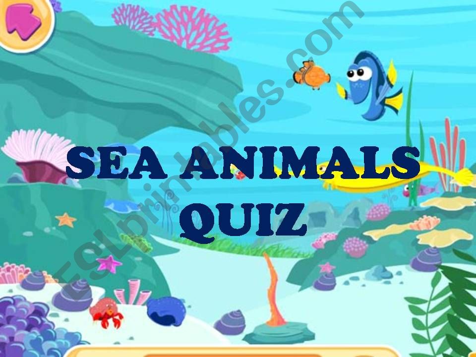 Sea Animals Quiz powerpoint