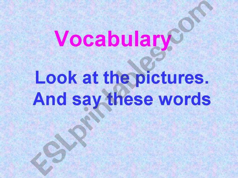 Vocabulary about general words