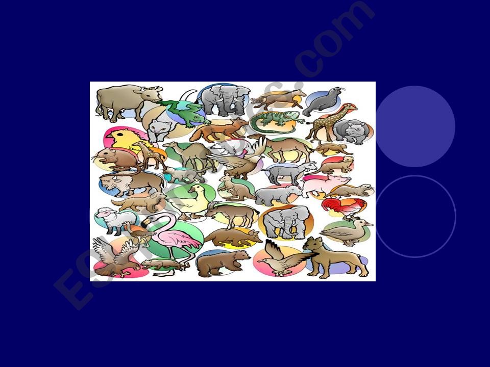 ANIMALS powerpoint