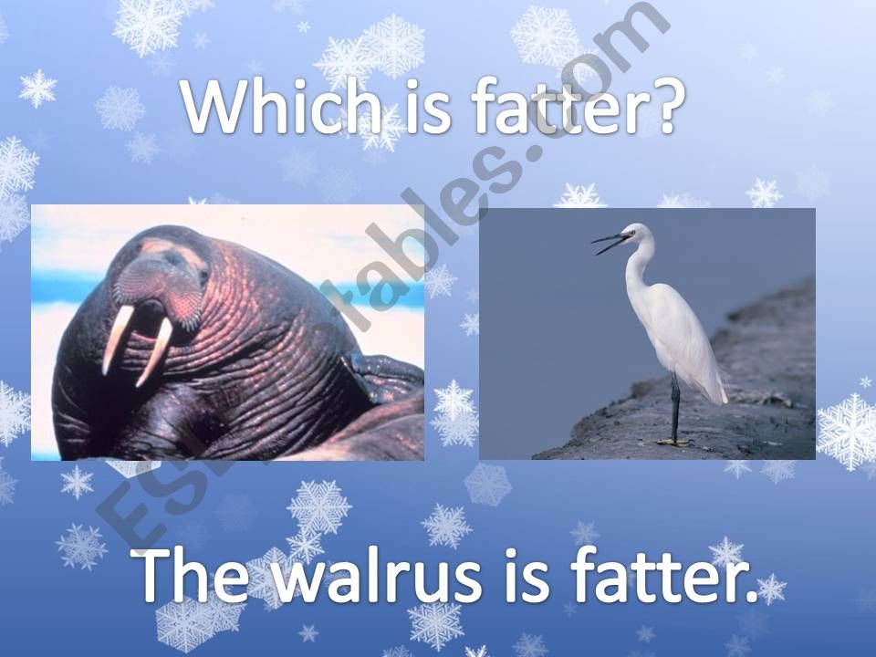 Arctic Animals Comparison powerpoint