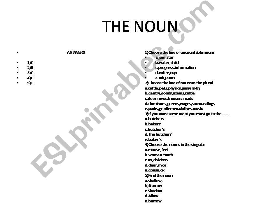 THE NOUN powerpoint
