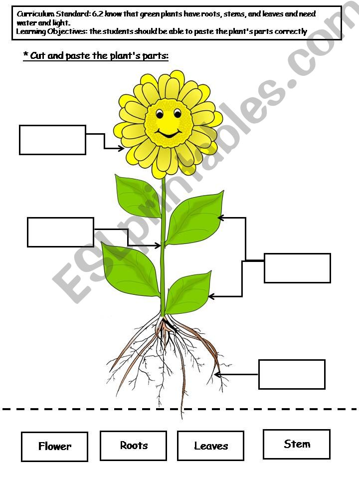 Lable the flower plarts powerpoint