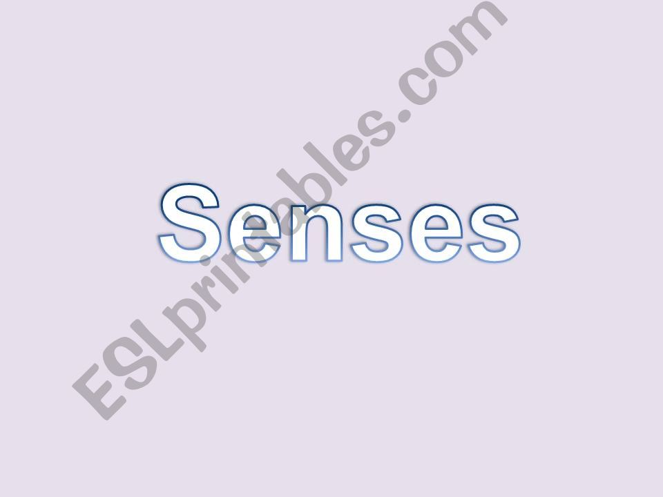 MY SENSES powerpoint