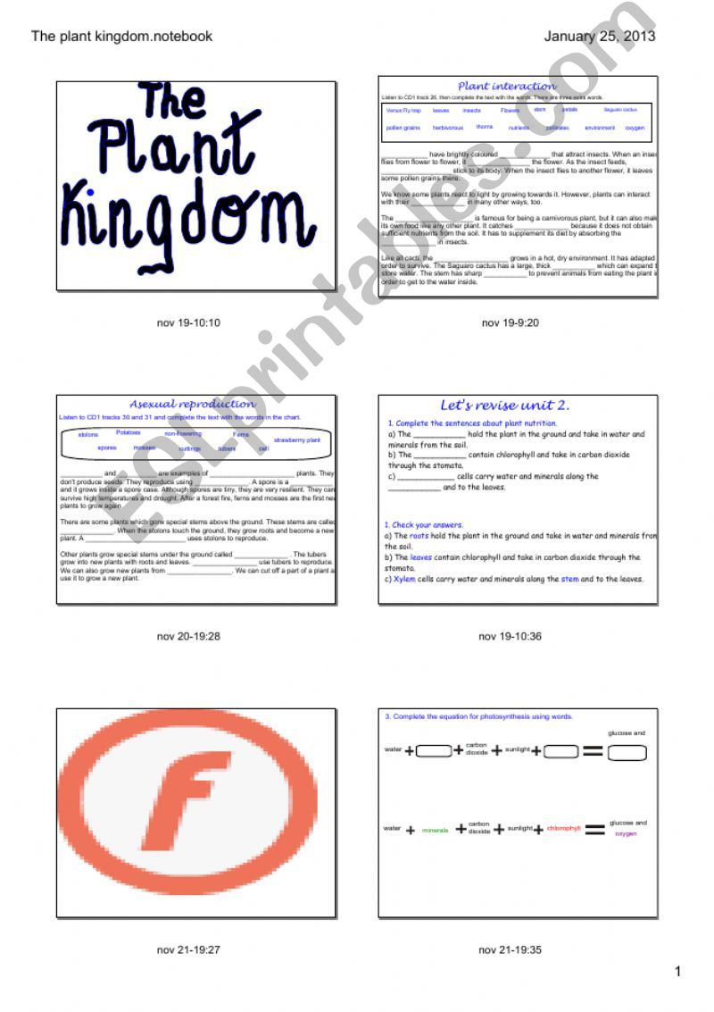 The Plant Kingdom powerpoint