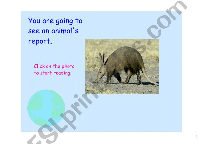 animal report powerpoint
