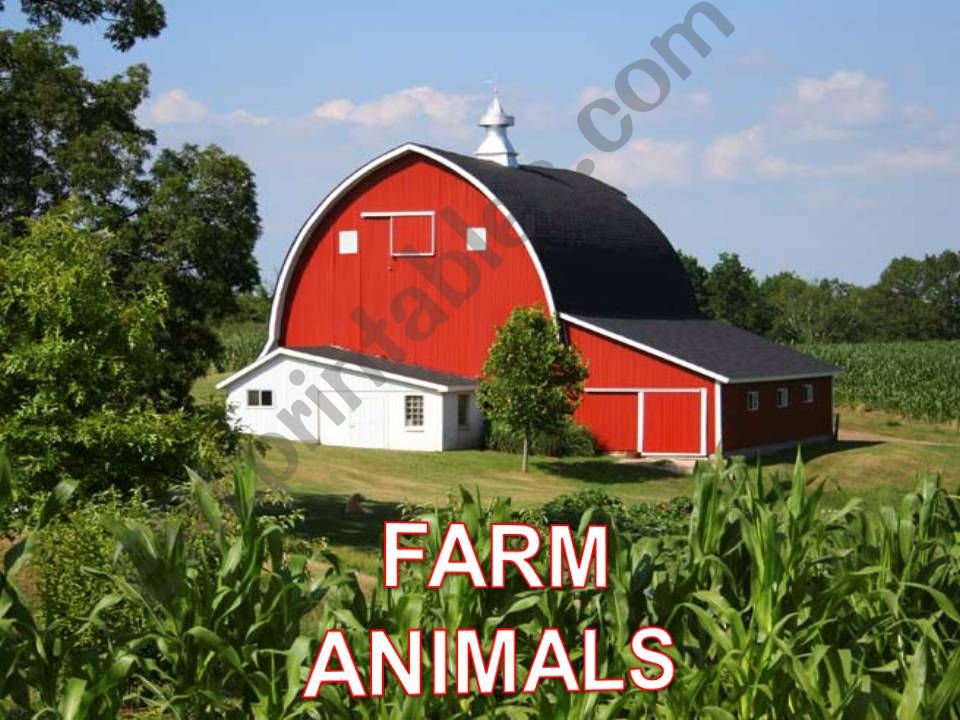 FARM ANIMALS powerpoint