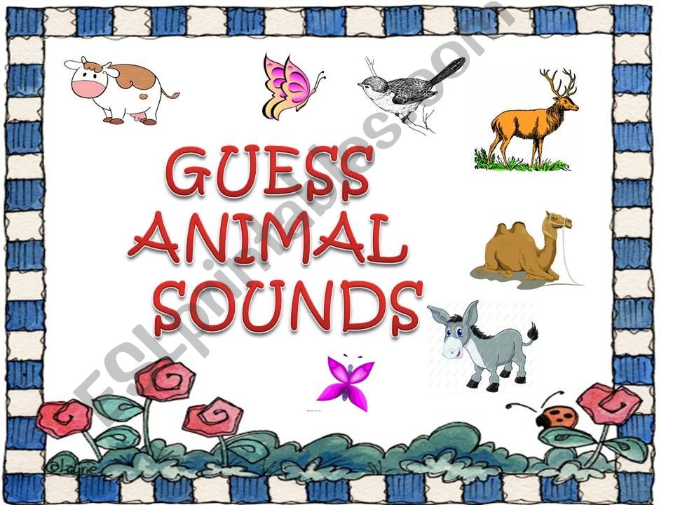 ANIMAL SOUNDS-2 powerpoint