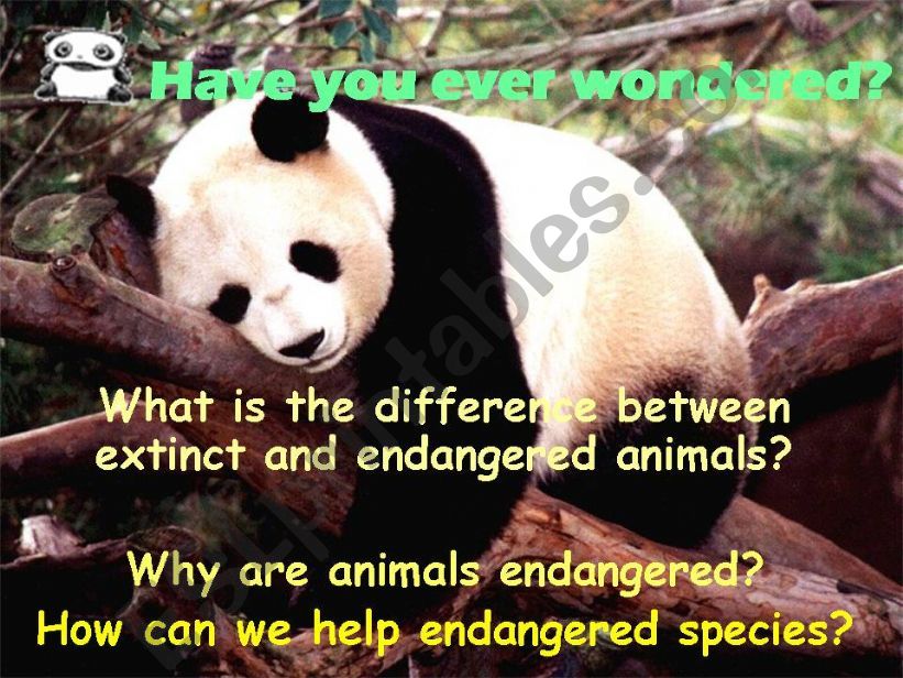 Endangered Animals powerpoint